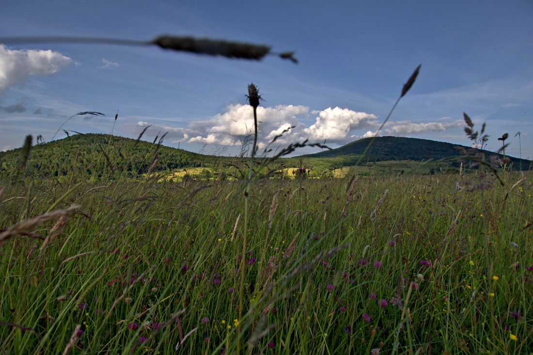 Kliknij obrazek, aby uzyskać większą wersję

Nazwa:	P7030335ol.jpg
Wyświetleń:	183
Rozmiar:	330,1 KB
ID:	123951