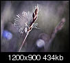 Kliknij obrazek, aby uzyskać większą wersję

Nazwa:	IMG_0673.jpg
Wyświetleń:	63
Rozmiar:	433,7 KB
ID:	124617
