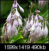 Kliknij obrazek, aby uzyskać większą wersję

Nazwa:	P7124676.jpg
Wyświetleń:	35
Rozmiar:	489,9 KB
ID:	124631
