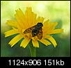 Kliknij obrazek, aby uzyskać większą wersję

Nazwa:	P7204893.jpg
Wyświetleń:	54
Rozmiar:	150,8 KB
ID:	124646