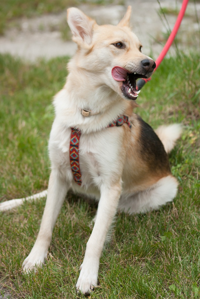 Kliknij obrazek, aby uzyskać większą wersję

Nazwa:	SG102900.jpg
Wyświetleń:	111
Rozmiar:	261,3 KB
ID:	124929