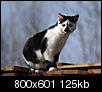 Kliknij obrazek, aby uzyskać większą wersję

Nazwa:	model.jpg
Wyświetleń:	184
Rozmiar:	124,6 KB
ID:	12588