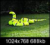 Kliknij obrazek, aby uzyskać większą wersję

Nazwa:	P7290057-waz.jpg
Wyświetleń:	107
Rozmiar:	687,6 KB
ID:	126043