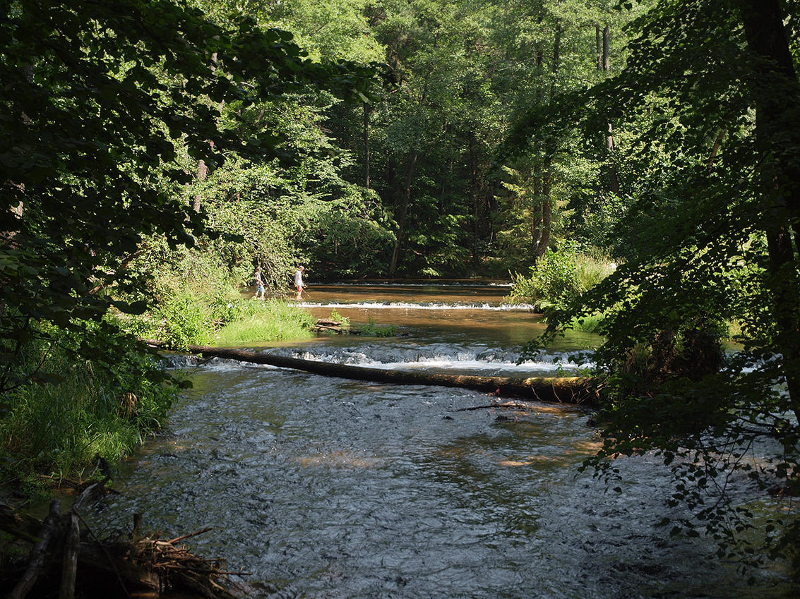 Kliknij obrazek, aby uzyskać większą wersję

Nazwa:	KW027501.jpg
Wyświetleń:	286
Rozmiar:	331,0 KB
ID:	126717