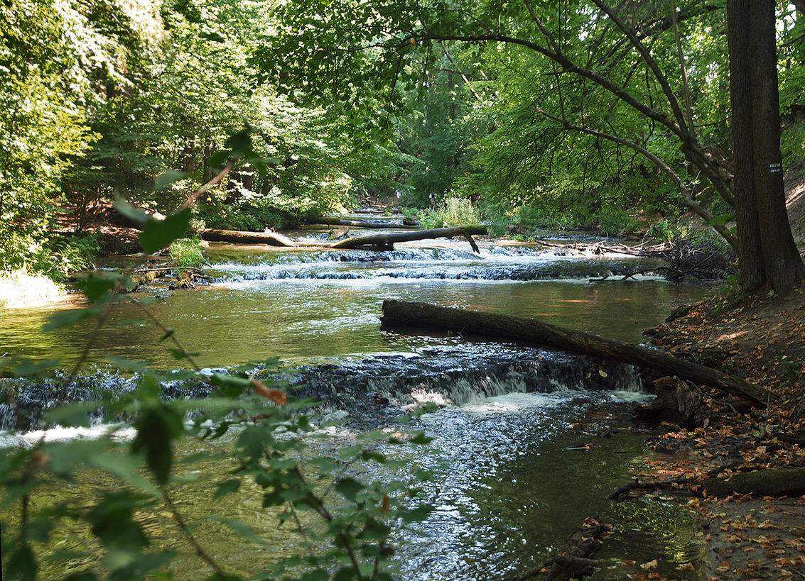 Kliknij obrazek, aby uzyskać większą wersję

Nazwa:	KW027495.jpg
Wyświetleń:	287
Rozmiar:	357,4 KB
ID:	126719