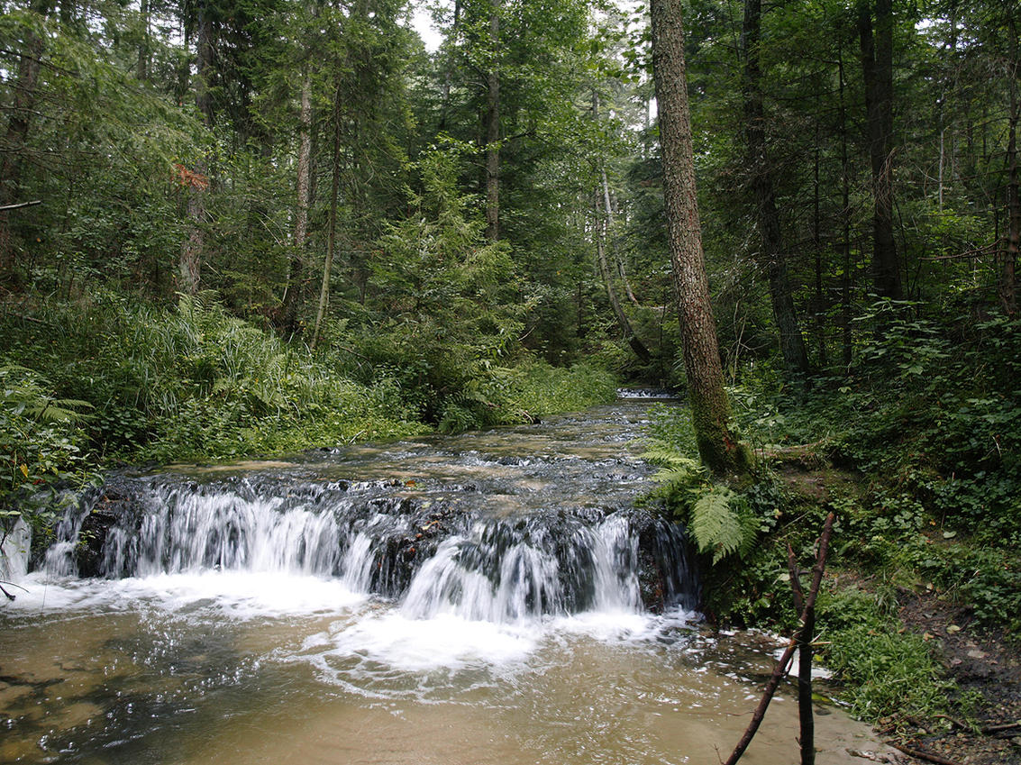 Kliknij obrazek, aby uzyskać większą wersję

Nazwa:	_8260191.jpg
Wyświetleń:	262
Rozmiar:	319,5 KB
ID:	126720