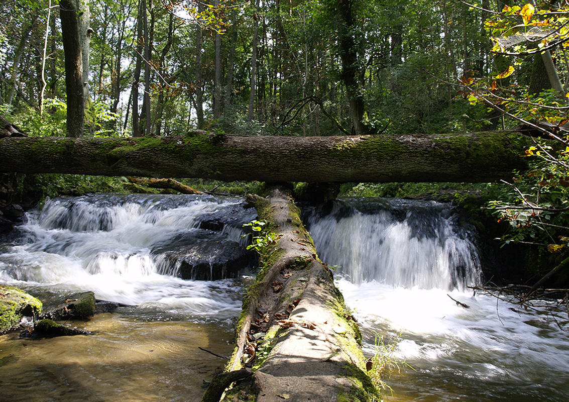 Kliknij obrazek, aby uzyskać większą wersję

Nazwa:	_8210363.jpg
Wyświetleń:	238
Rozmiar:	294,5 KB
ID:	126725
