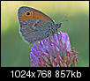 Kliknij obrazek, aby uzyskać większą wersję

Nazwa:	P8130071.jpg
Wyświetleń:	48
Rozmiar:	857,0 KB
ID:	126769