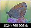 Kliknij obrazek, aby uzyskać większą wersję

Nazwa:	P8130080.jpg
Wyświetleń:	51
Rozmiar:	925,7 KB
ID:	126770