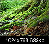 Kliknij obrazek, aby uzyskać większą wersję

Nazwa:	P8250069.jpg
Wyświetleń:	205
Rozmiar:	633,3 KB
ID:	127515