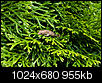 Kliknij obrazek, aby uzyskać większą wersję

Nazwa:	_DSC9369.JPG
Wyświetleń:	58
Rozmiar:	955,1 KB
ID:	127592