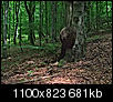 Kliknij obrazek, aby uzyskać większą wersję

Nazwa:	P6071104.jpg
Wyświetleń:	175
Rozmiar:	681,5 KB
ID:	128232