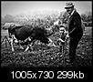 Kliknij obrazek, aby uzyskać większą wersję

Nazwa:	sad_P8211070.jpg
Wyświetleń:	233
Rozmiar:	298,7 KB
ID:	128502