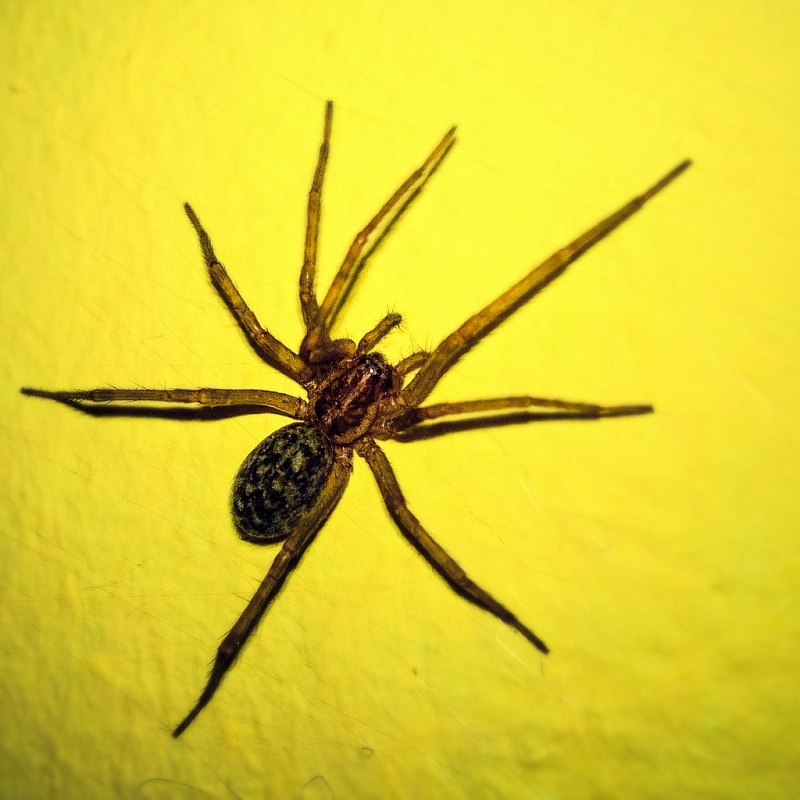 Nazwa:  7bfecf7f40f3.jpg
Wyświetleń: 210
Rozmiar:  390,3 KB