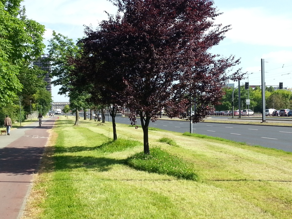 Kliknij obrazek, aby uzyskać większą wersję

Nazwa:	20140624_084419-koszenie.jpg
Wyświetleń:	234
Rozmiar:	708,6 KB
ID:	128805