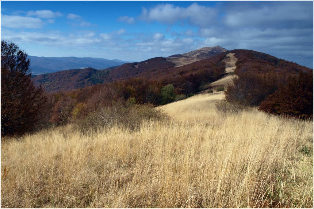 Kliknij obrazek, aby uzyskać większą wersję

Nazwa:	152.jpg
Wyświetleń:	173
Rozmiar:	620,9 KB
ID:	129368