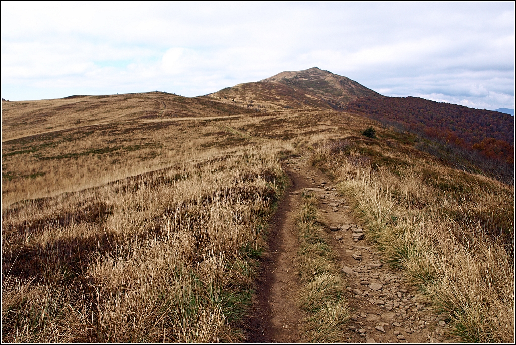 Kliknij obrazek, aby uzyskać większą wersję

Nazwa:	151.jpg
Wyświetleń:	170
Rozmiar:	706,3 KB
ID:	129369