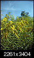 Kliknij obrazek, aby uzyskać większą wersję

Nazwa:	P9110017.jpg
Wyświetleń:	55
Rozmiar:	1,01 MB
ID:	129416