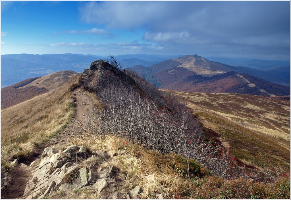 Kliknij obrazek, aby uzyskać większą wersję

Nazwa:	166.jpg
Wyświetleń:	208
Rozmiar:	656,0 KB
ID:	129564