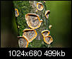 Kliknij obrazek, aby uzyskać większą wersję

Nazwa:	_DSC0032.JPG
Wyświetleń:	30
Rozmiar:	499,3 KB
ID:	130040