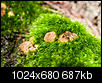 Kliknij obrazek, aby uzyskać większą wersję

Nazwa:	_DSC0049.JPG
Wyświetleń:	32
Rozmiar:	686,6 KB
ID:	130045