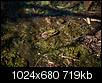 Kliknij obrazek, aby uzyskać większą wersję

Nazwa:	_DSC0110.JPG
Wyświetleń:	33
Rozmiar:	718,9 KB
ID:	130093