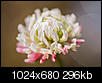 Kliknij obrazek, aby uzyskać większą wersję

Nazwa:	_DSC0176.JPG
Wyświetleń:	67
Rozmiar:	296,0 KB
ID:	130170
