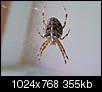 Kliknij obrazek, aby uzyskać większą wersję

Nazwa:	XZ220019.jpg
Wyświetleń:	345
Rozmiar:	354,9 KB
ID:	130435