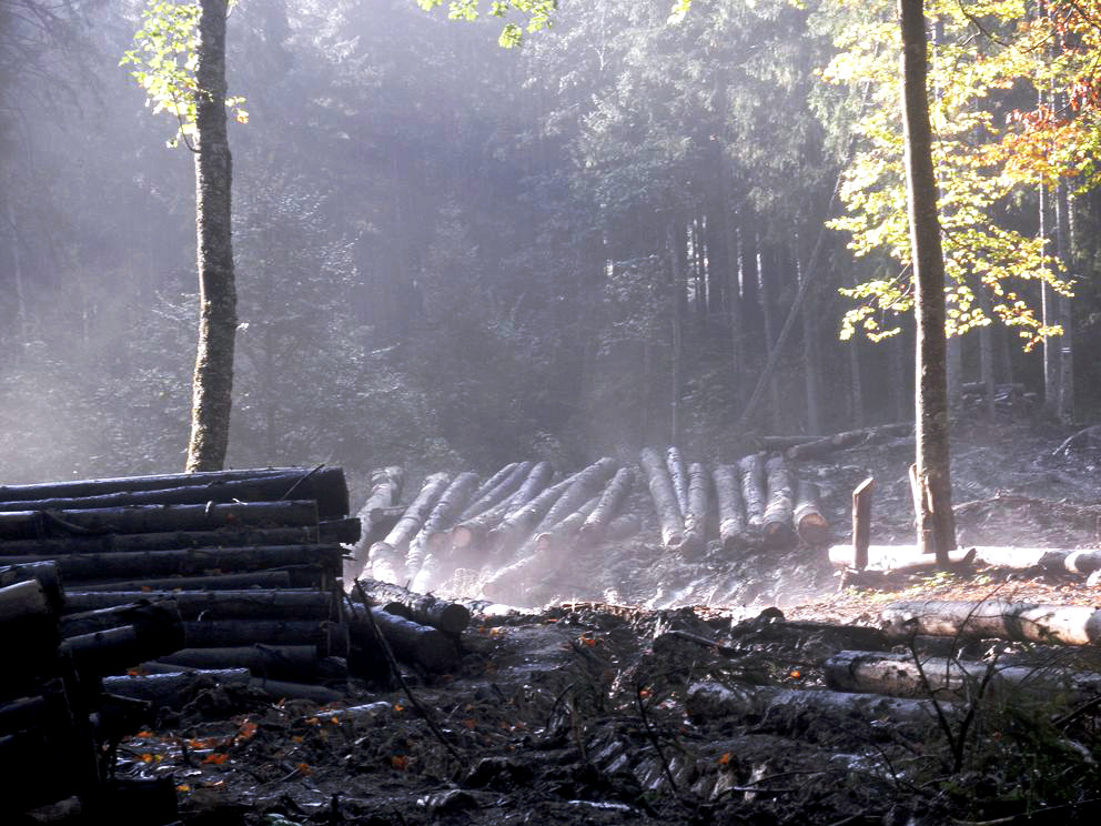 Nazwa:  oly_1.jpg
Wyświetleń: 107
Rozmiar:  216,2 KB