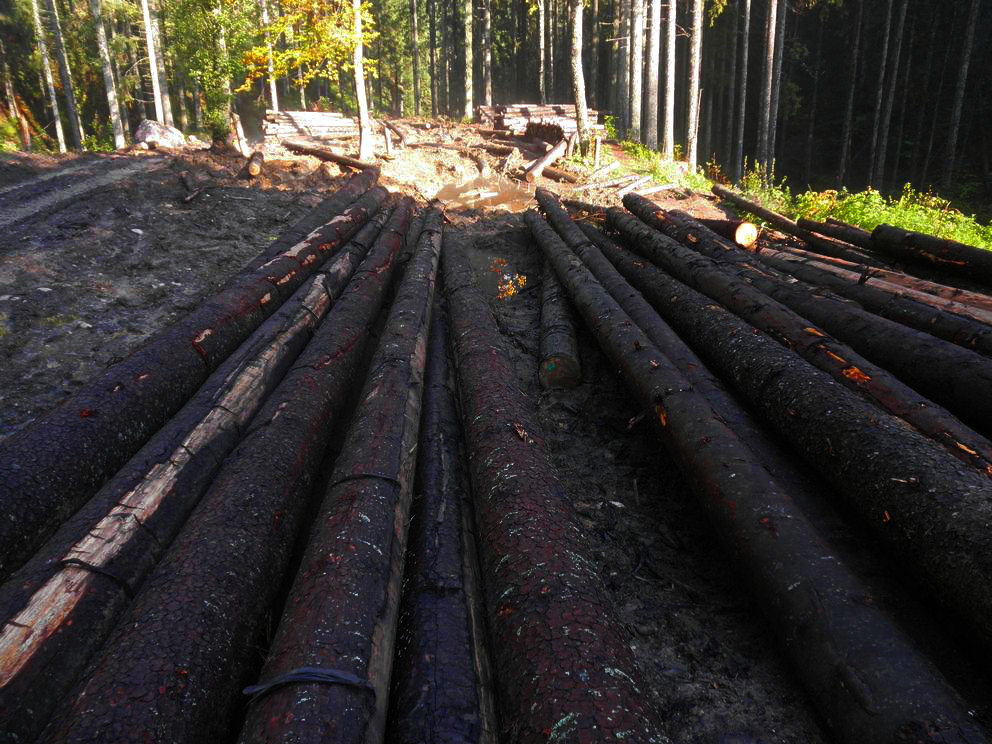 Nazwa:  oly_5.jpg
Wyświetleń: 105
Rozmiar:  240,5 KB