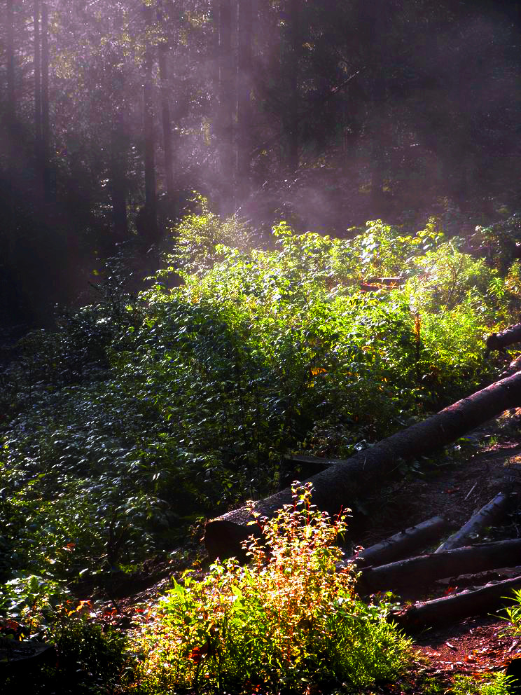 Nazwa:  oly_3.jpg
Wyświetleń: 104
Rozmiar:  363,4 KB