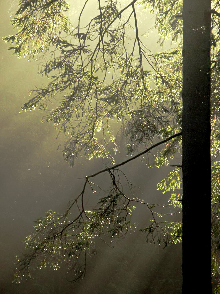 Nazwa:  oly_4.jpg
Wyświetleń: 107
Rozmiar:  260,5 KB