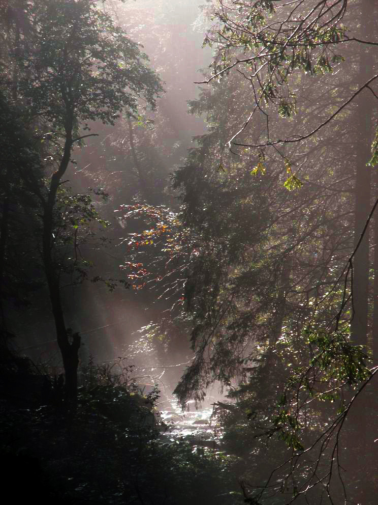 Nazwa:  oly_6.jpg
Wyświetleń: 104
Rozmiar:  201,4 KB