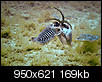 Kliknij obrazek, aby uzyskać większą wersję

Nazwa:	P6172831-peq..jpg
Wyświetleń:	45
Rozmiar:	169,2 KB
ID:	131935