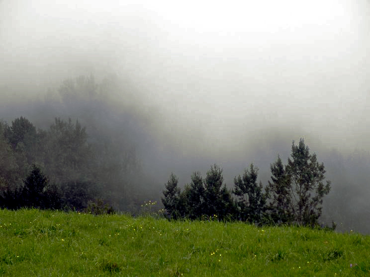 Nazwa:  4.jpg
Wyświetleń: 93
Rozmiar:  74,9 KB