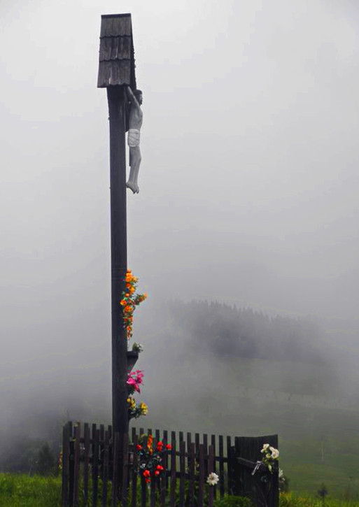 Nazwa:  5.jpg
Wyświetleń: 86
Rozmiar:  54,9 KB