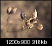 Kliknij obrazek, aby uzyskać większą wersję

Nazwa:	IMG_2648.jpg
Wyświetleń:	42
Rozmiar:	317,6 KB
ID:	132236