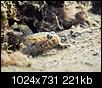 Kliknij obrazek, aby uzyskać większą wersję

Nazwa:	PA165494 (Custom).jpg
Wyświetleń:	391
Rozmiar:	221,2 KB
ID:	133043