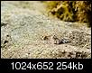 Kliknij obrazek, aby uzyskać większą wersję

Nazwa:	PA165513 (Custom).jpg
Wyświetleń:	315
Rozmiar:	253,9 KB
ID:	133169