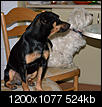 Kliknij obrazek, aby uzyskać większą wersję

Nazwa:	PA116601.ORF.jpg
Wyświetleń:	79
Rozmiar:	523,9 KB
ID:	133477