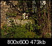Kliknij obrazek, aby uzyskać większą wersję

Nazwa:	PA250088.jpg
Wyświetleń:	220
Rozmiar:	472,8 KB
ID:	133908