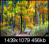 Kliknij obrazek, aby uzyskać większą wersję

Nazwa:	pazdziernik-klikacz-PA159035.jpg
Wyświetleń:	71
Rozmiar:	456,5 KB
ID:	135406