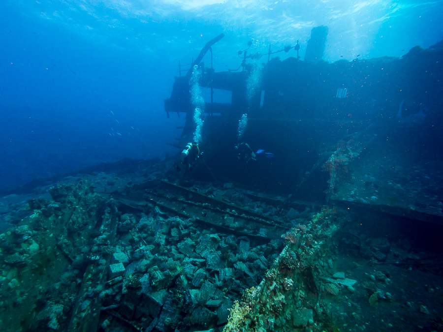 Nazwa:  2014-10-18-1620_PA180088.jpg
Wyświetleń: 159
Rozmiar:  276,0 KB