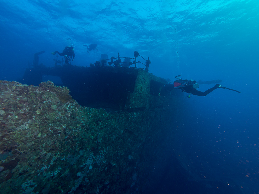 Nazwa:  2014-10-18-1622_PA180098.jpg
Wyświetleń: 156
Rozmiar:  201,1 KB