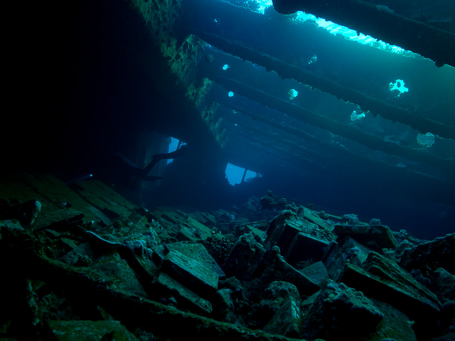 Nazwa:  2014-10-18-1638_PA180182.jpg
Wyświetleń: 154
Rozmiar:  198,7 KB