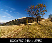 Kliknij obrazek, aby uzyskać większą wersję

Nazwa:	_A120488_.jpg
Wyświetleń:	48
Rozmiar:	245,6 KB
ID:	137329