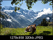 Kliknij obrazek, aby uzyskać większą wersję

Nazwa:	Foto-6.jpg
Wyświetleń:	113
Rozmiar:	320,0 KB
ID:	137470