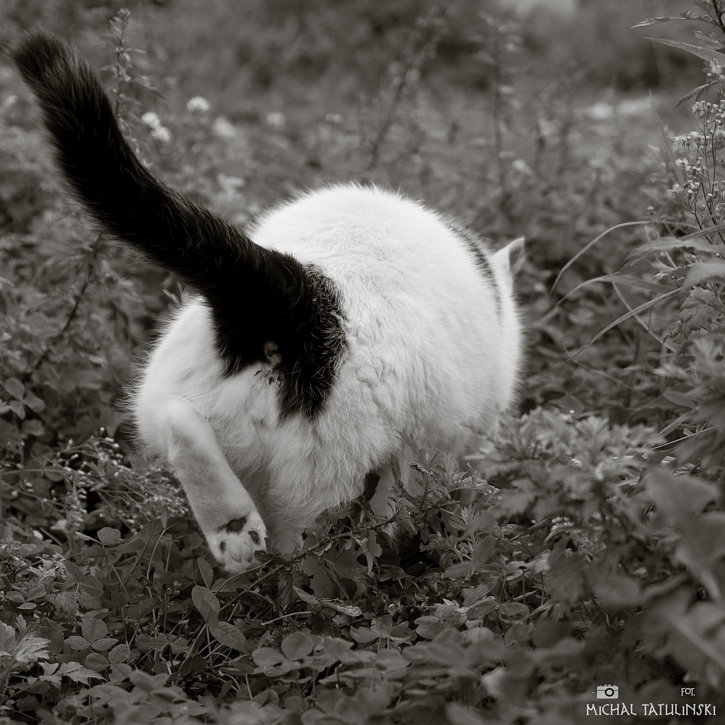 Nazwa:  PA054239.jpg
Wyświetleń: 150
Rozmiar:  452,8 KB