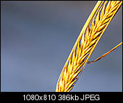 Kliknij obrazek, aby uzyskać większą wersję

Nazwa:	_C287387.jpg
Wyświetleń:	325
Rozmiar:	386,1 KB
ID:	138046