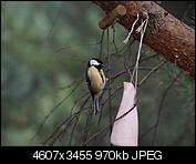 Kliknij obrazek, aby uzyskać większą wersję

Nazwa:	PC250161-z puszki.jpg
Wyświetleń:	157
Rozmiar:	970,3 KB
ID:	138063